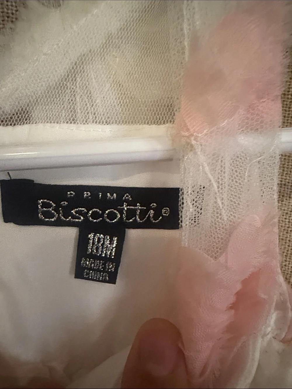 Biscotti Ivory and Pink Floral Tulle Party Dress